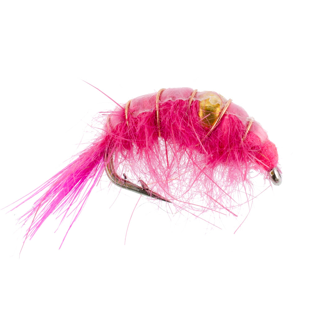 Pink Beaded Shrimp Scud Pattern - 6 Flies - Size 12 - Tailwater Lake Fly Fishing Nymph Flies