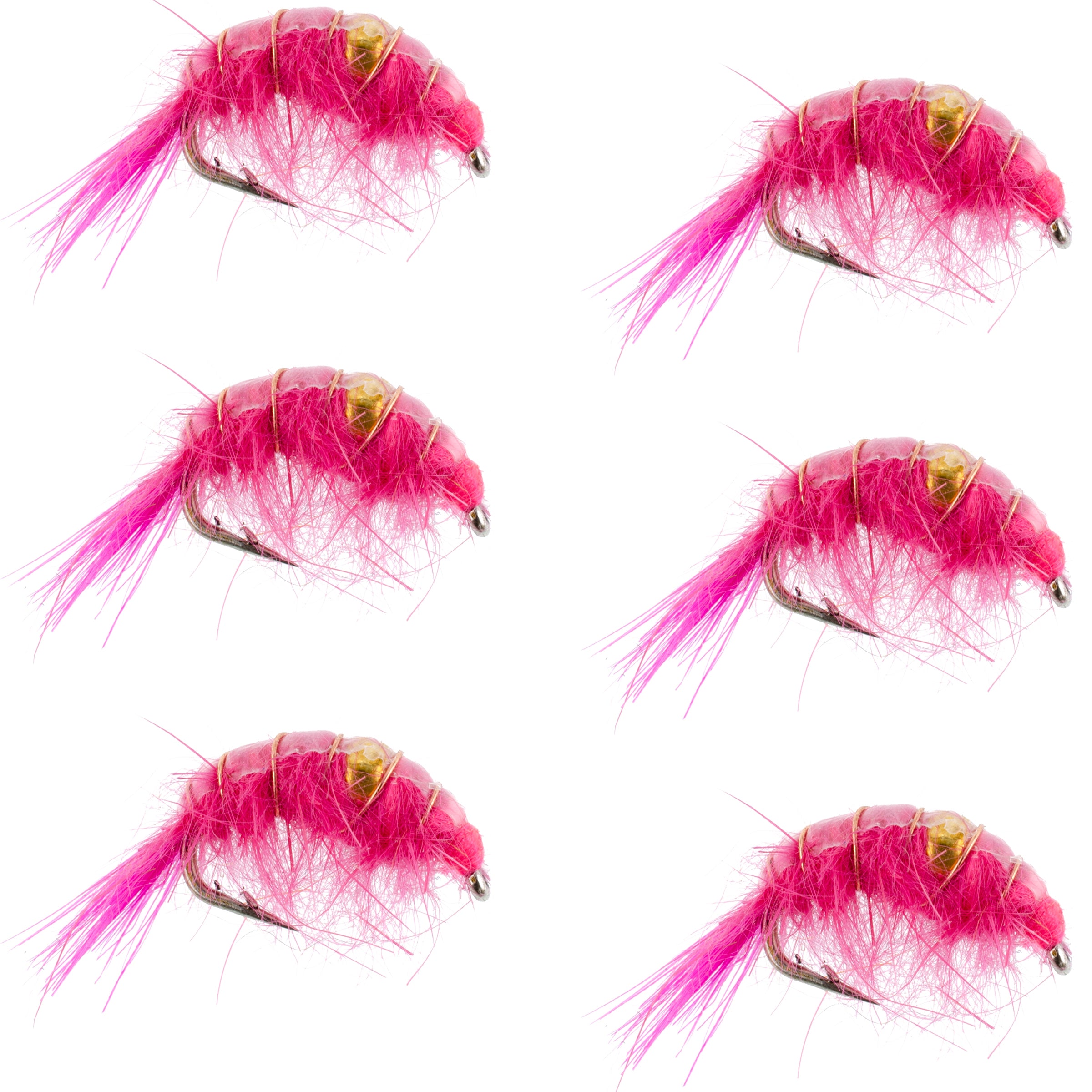 Pink Beaded Shrimp Scud Pattern - 6 Flies - Size 12 - Tailwater Lake Fly Fishing Nymph Flies