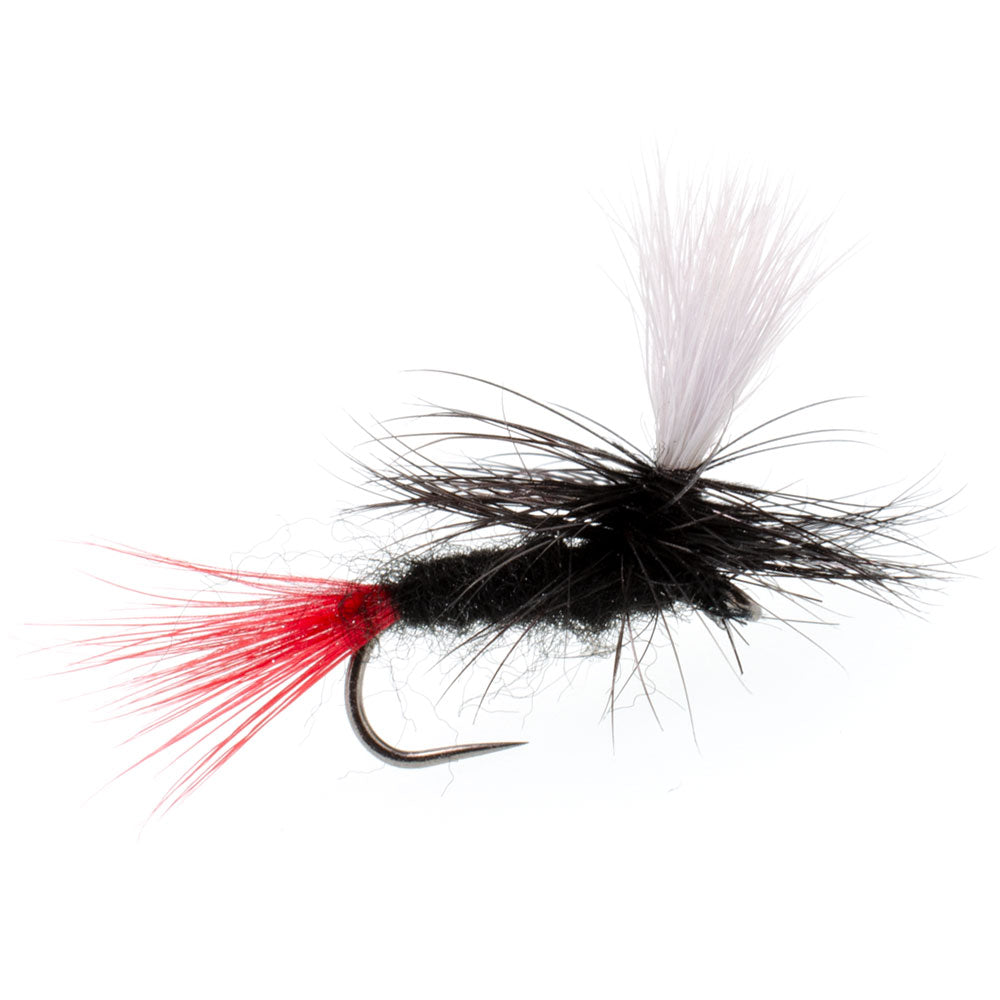 3 Pack Barbless Parachute Black Gnat Red Tail Dry Fly - Size 12