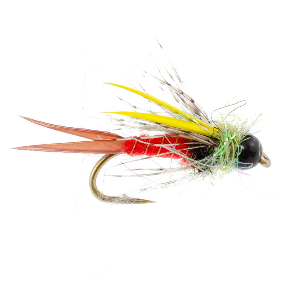 Tungsten Bead Head Nicks Prince Special Nymph Fly Fishing Flies - Set of 6 Flies Hook Size 10