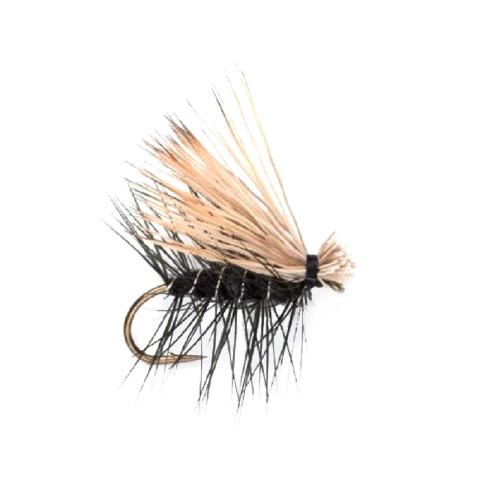 Black Elk Hair Caddis Classic Trout Dry Fly - Set of 6 Flies Size 16