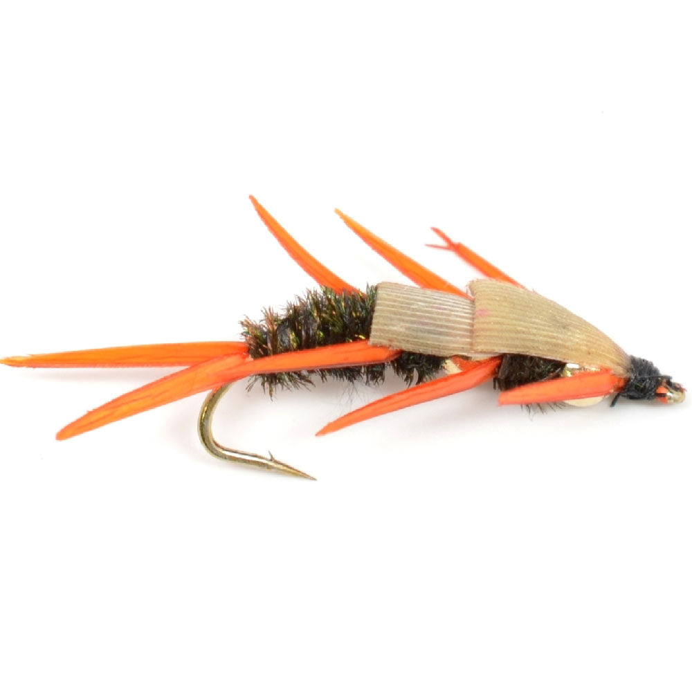 Double Bead Peacock Stonefly Nymph with Amber Biot Legs Fly Fishing Flies - Trout and Bass Wet Fly Pattern - 6 Flies Hook Size 14