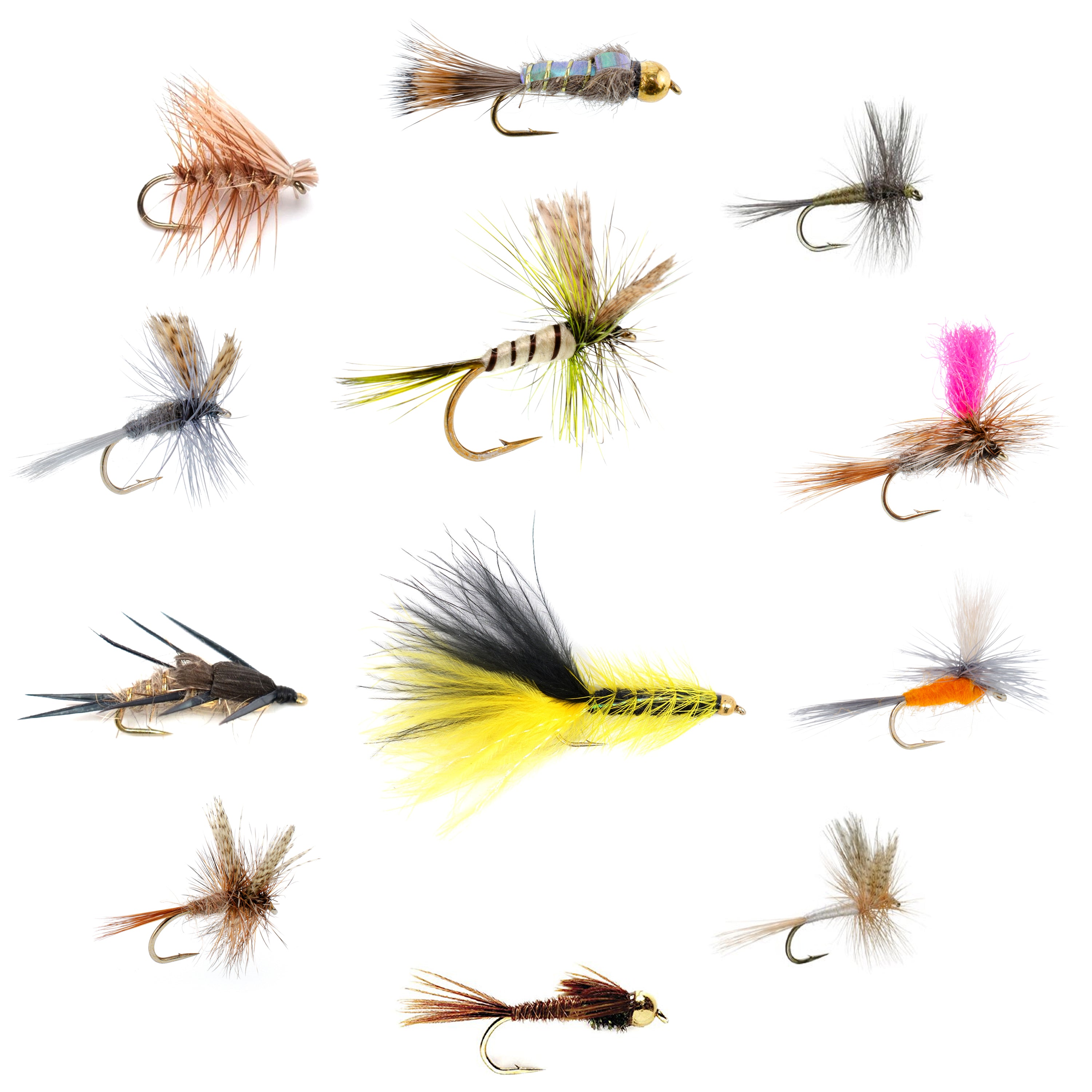 Eastern Trout Fly Assortment - 12 Essential Dry and Nymph Fly Fishing Flies Collection - Trout Flies with Gift Fly Box