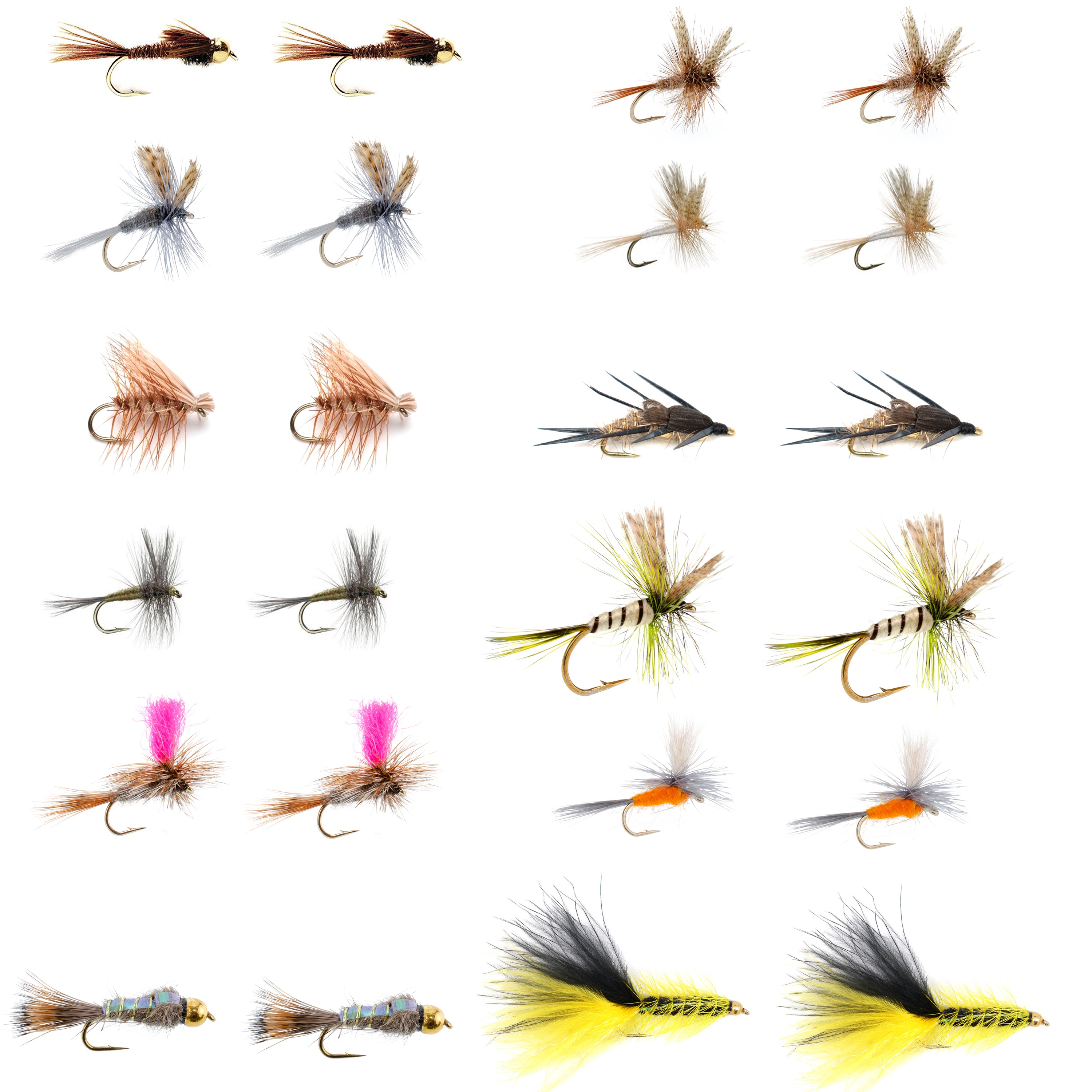 Eastern Trout Fly Assortment - 24 Essential Dry and Nymph Fly Fishing Flies Collection - Trout Flies with Gift Fly Box