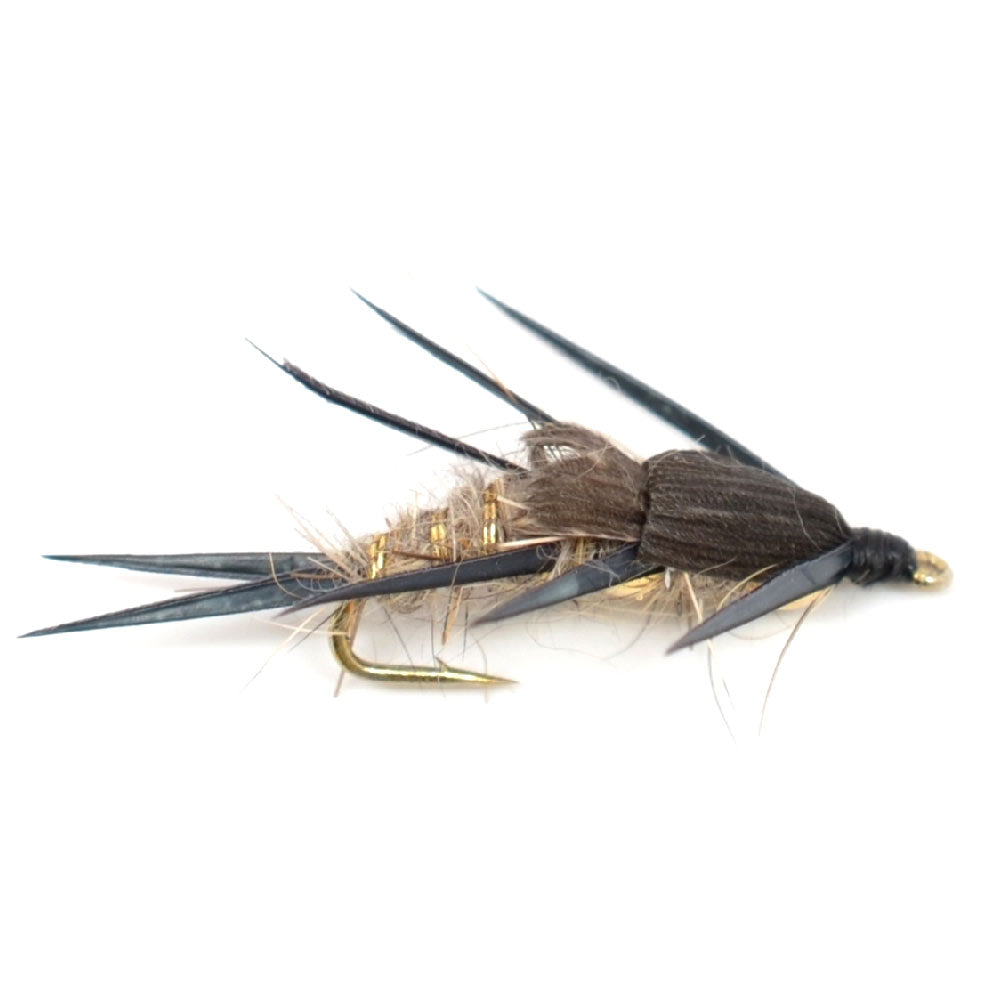 Surtido de moscas para trucha oriental, colección de 12 moscas esenciales para pesca con mosca seca y ninfa, moscas para trucha con caja de regalo