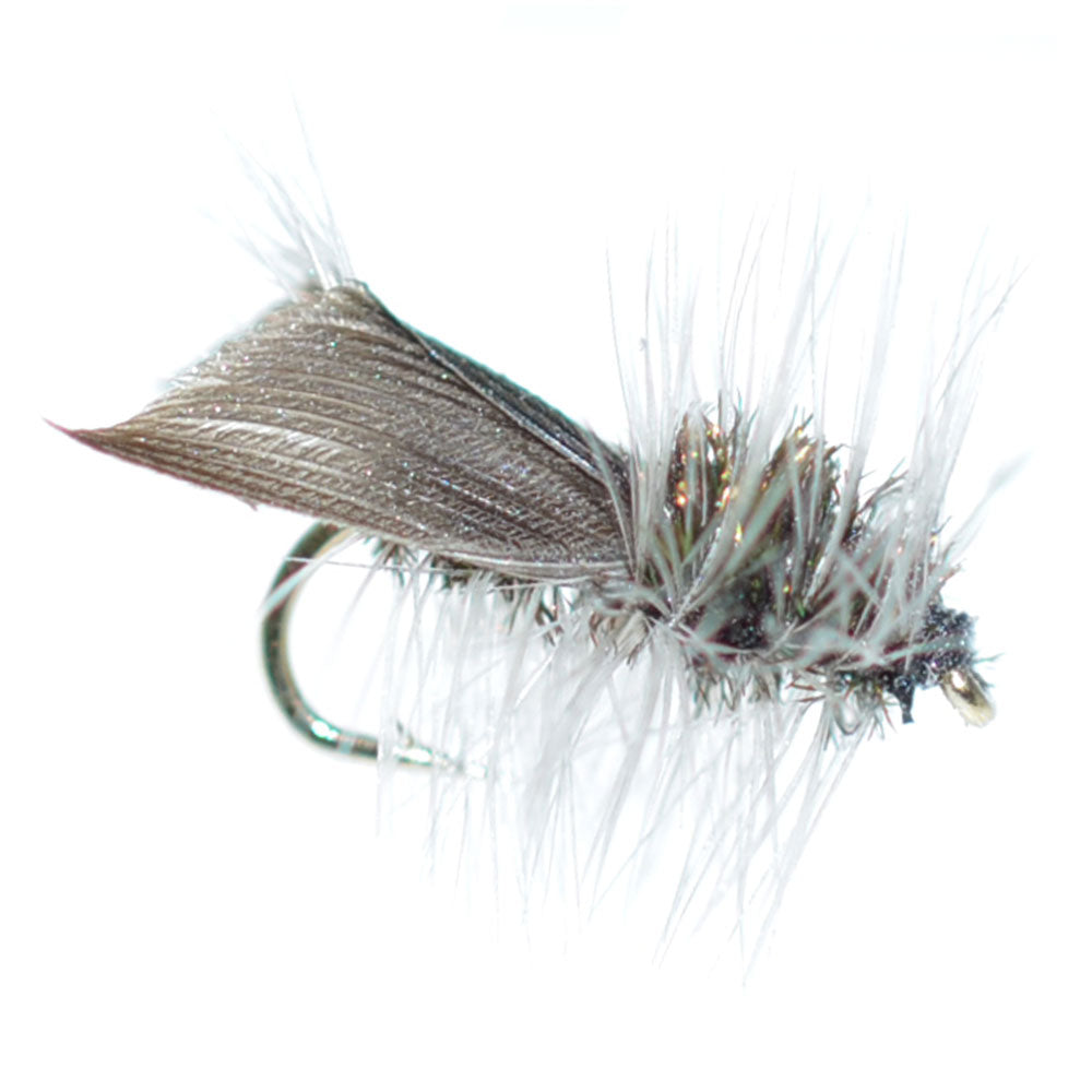 Paquete de 3 moscas secas Hemingway Caddis - Tamaño del anzuelo 18