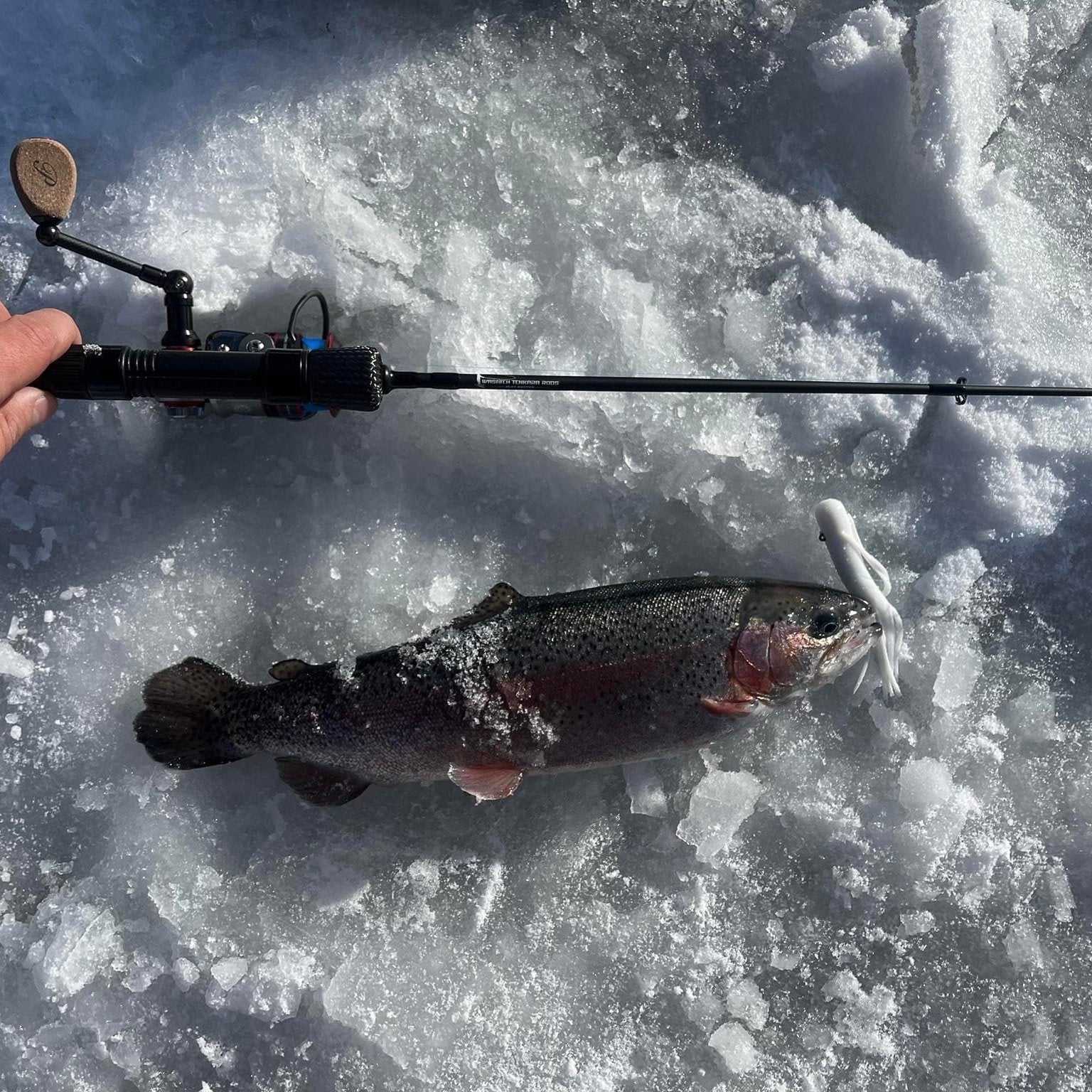 Slot Buster Heavy/Fast Action Ice Fishing Rod