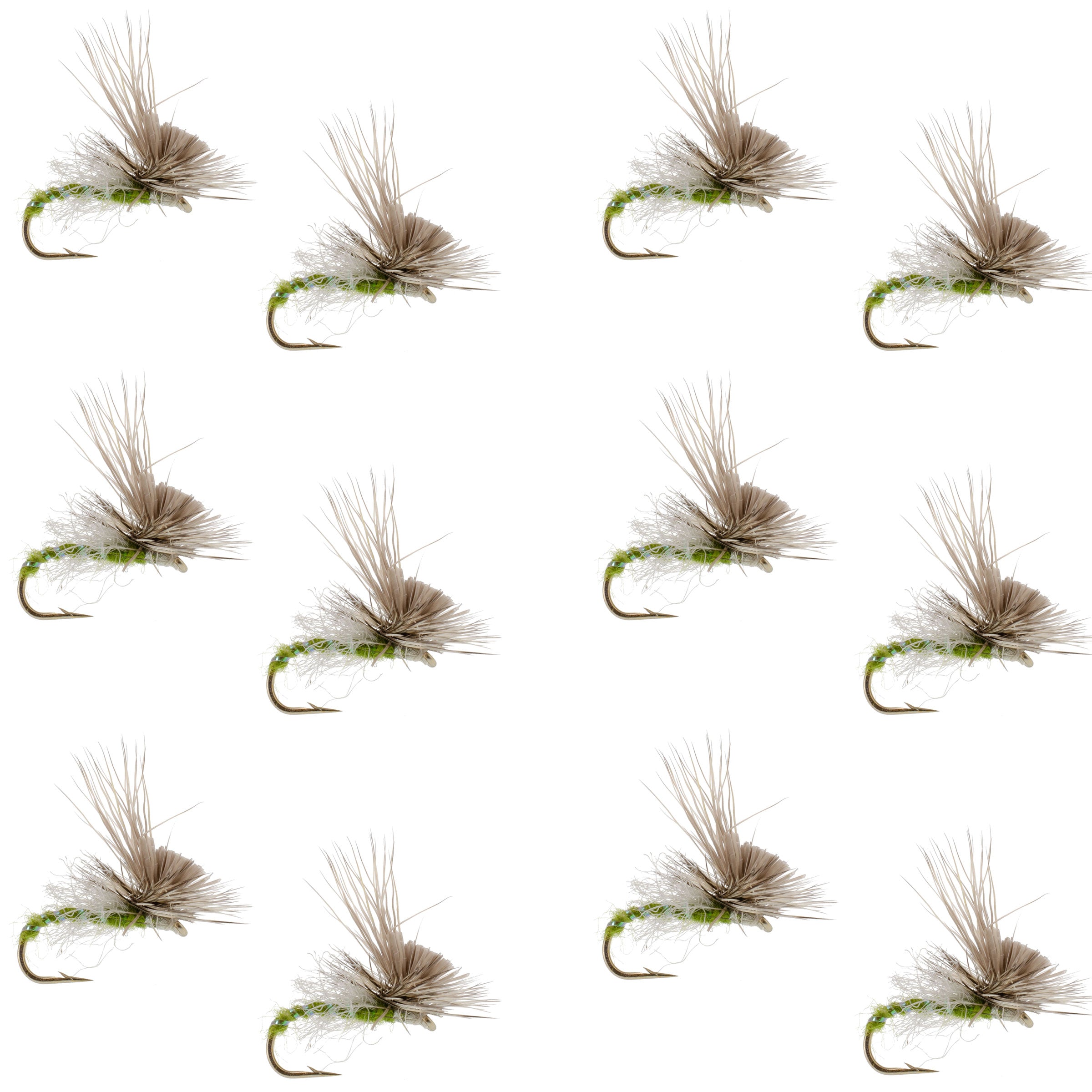 Green Drake Missing Link Mayfly Flies Hook 12 Flies Size 10