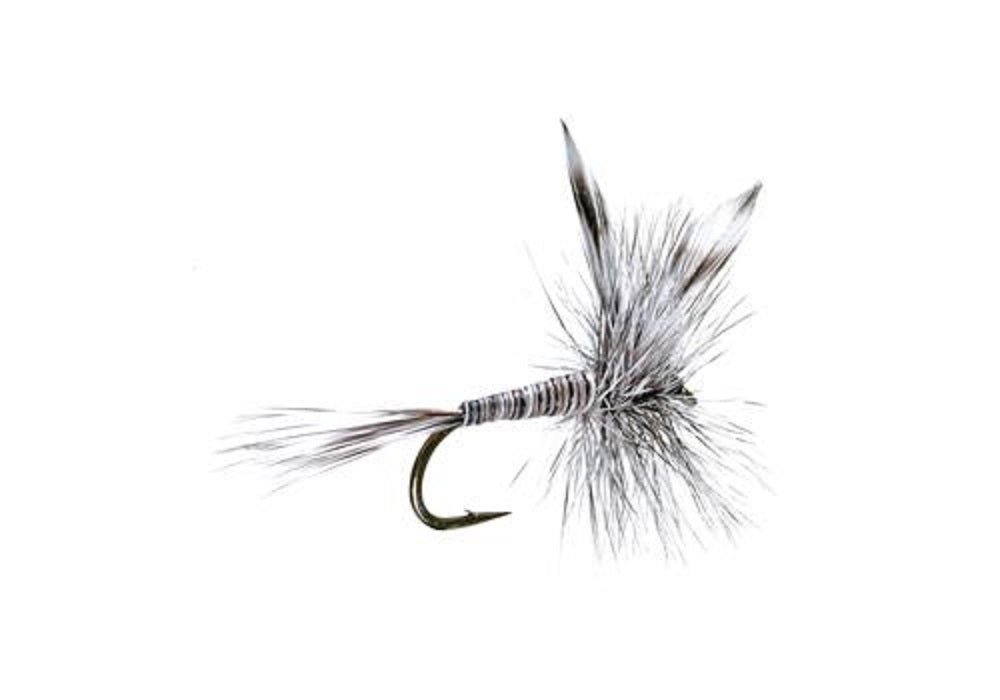 Mosquito Classic Trout Dry Fly Fishing Flies - 1 Dozen Size 14