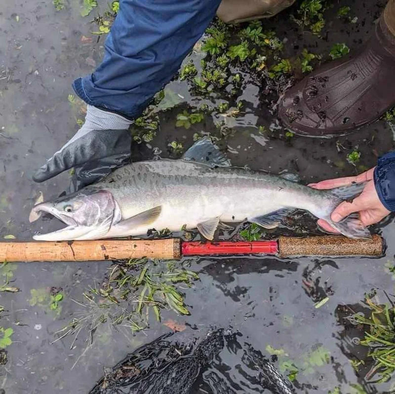 Phoenix Rising Spey Tenkara Rod