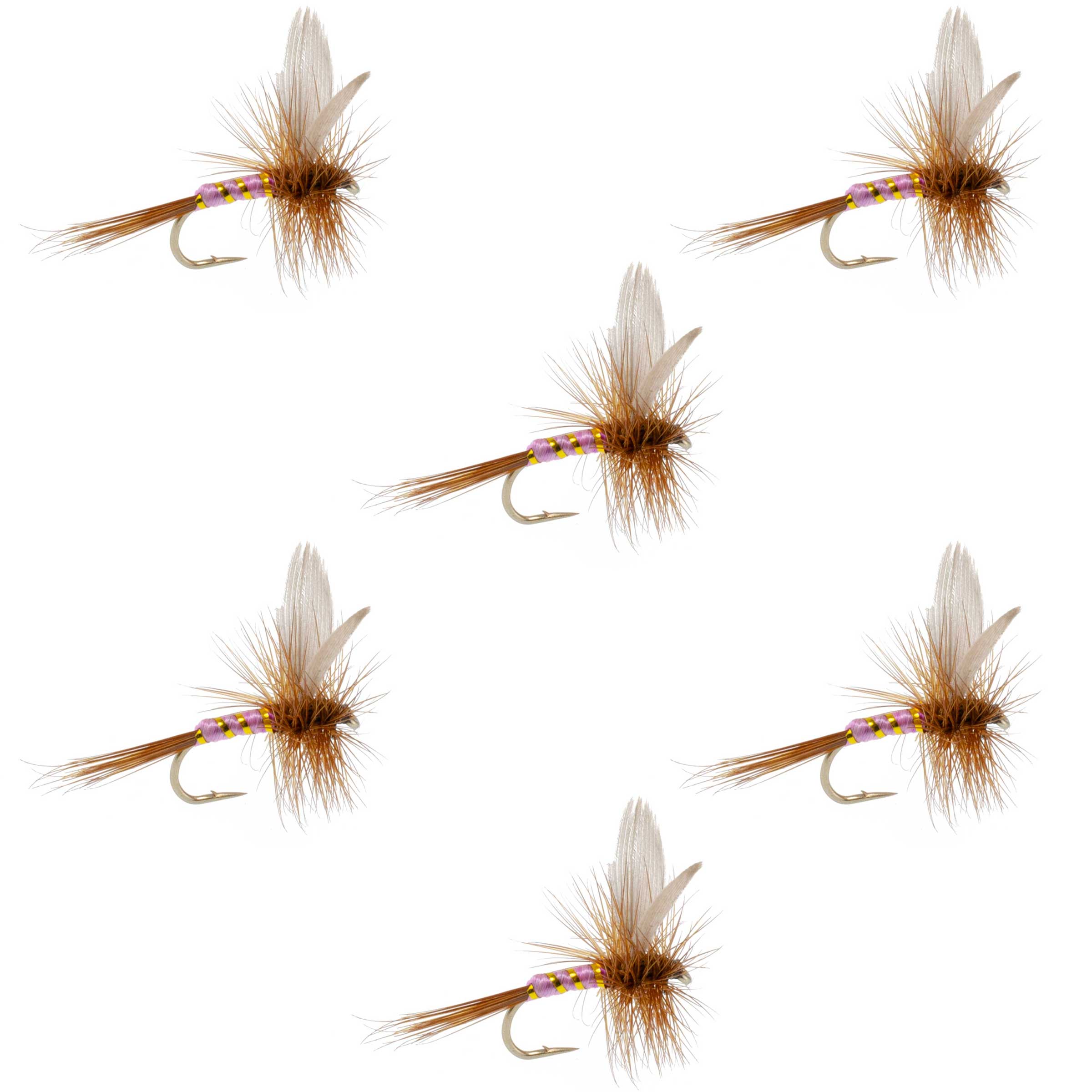 Pink Lady Classic Dry Fly - 6 Flies Size 14