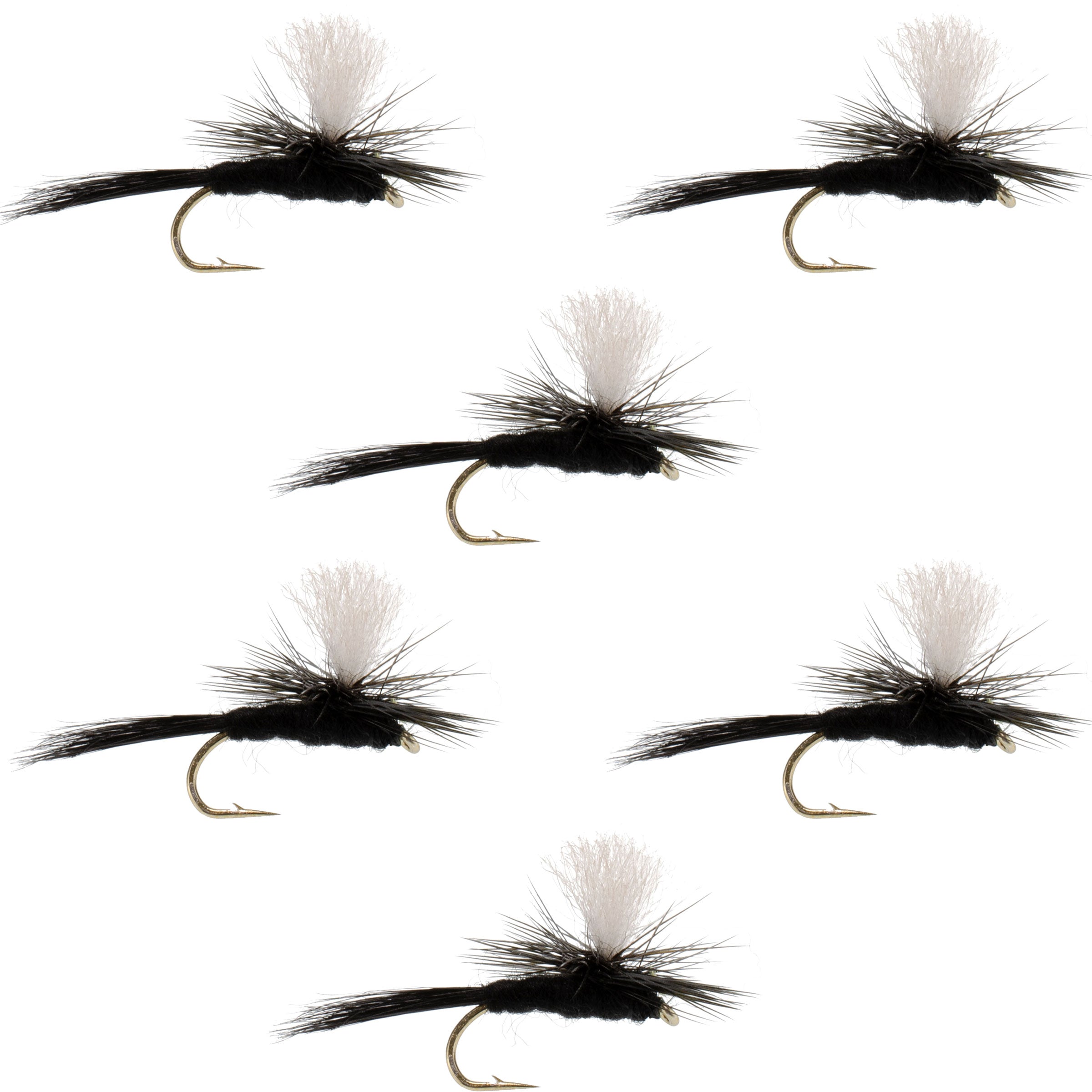 Parachute Black Gnat Classic Dry Fly - 6 Flies Size 12