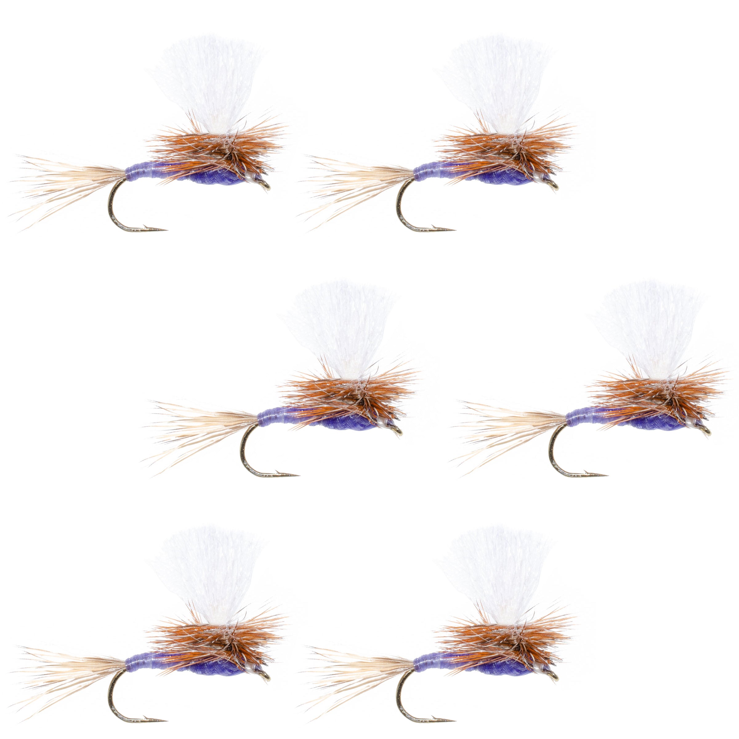 Parachute Purple Haze Dry Fly - 6 Flies Size 12