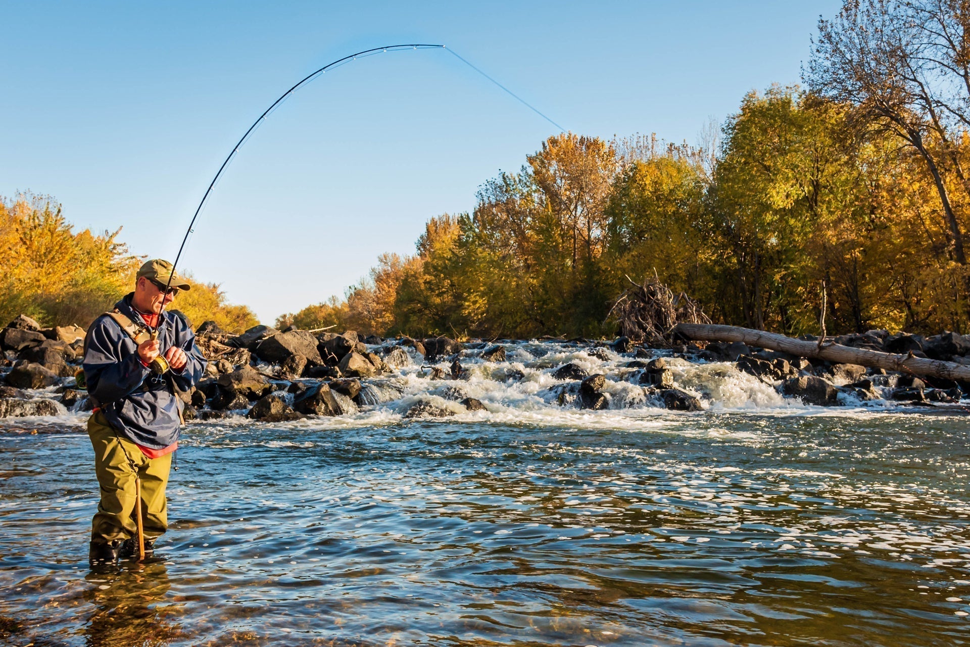 Paquete de 3 cuentas de tungsteno Chartreuse Wormy Mop Fly plantilla táctica checa Euro Nymph Barbless Fly - Tamaño 14