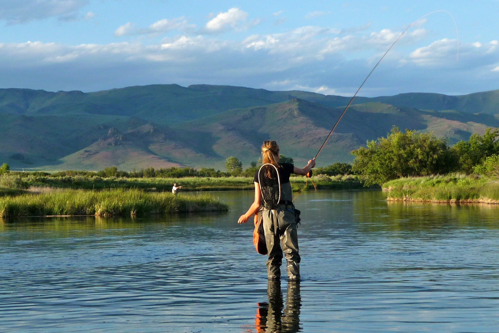 Mosquito Classic Trucha Moscas de pesca con mosca seca - Juego de 6 moscas Tamaño 16