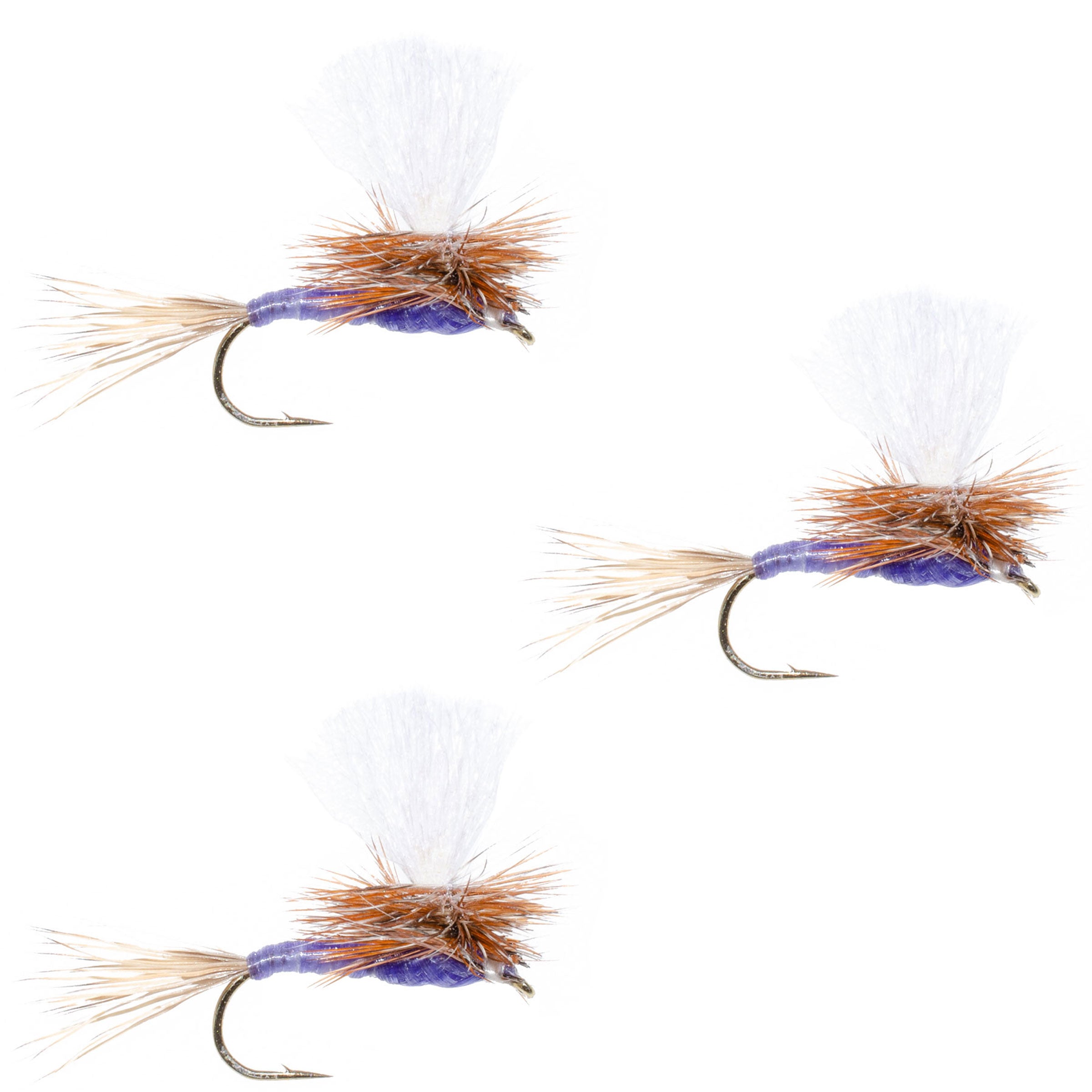 3 Pack Parachute Purple Haze Dry Fly - Size 20