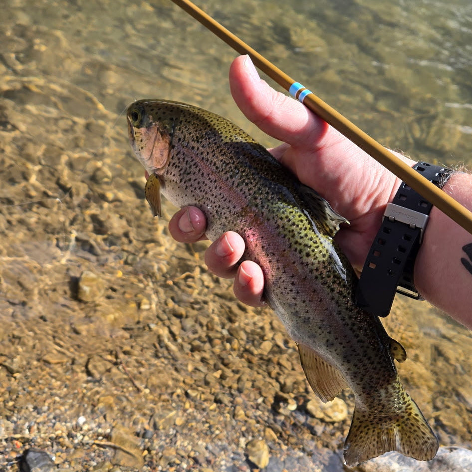 SNUB NOSE IV T 4-Zoom Ultra-Compact Tenkara Rod