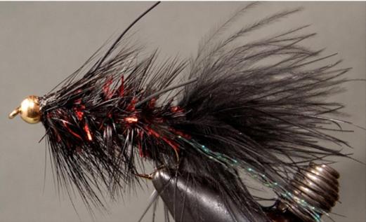 BH Woolly Bugger