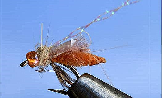 Rocky Mtn. Caddis - 5 Colors