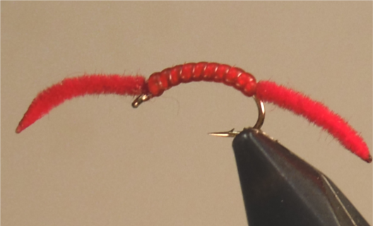 San Juan Worm - 4 Colors