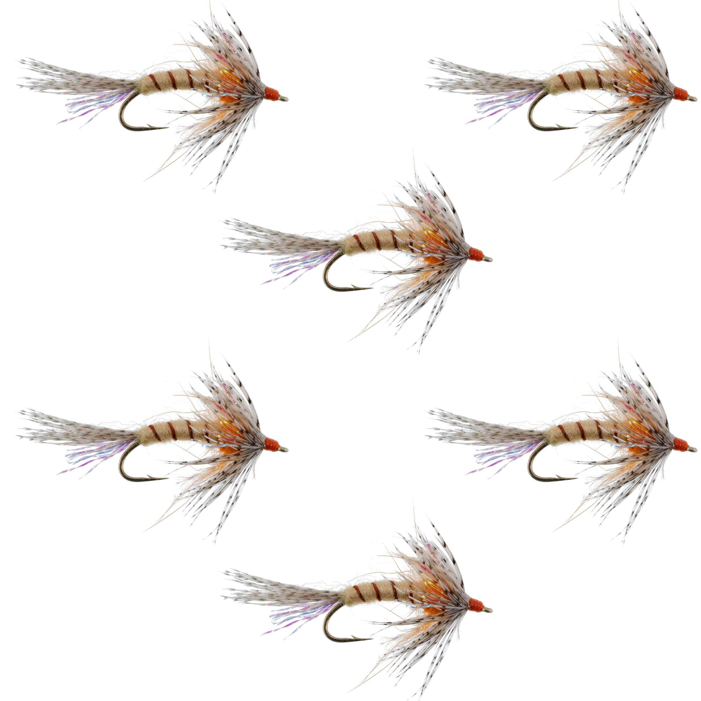 Orange Shakey Bealy Fall Soft Hackle Wet Fly - 6 Flies Hook Size 10