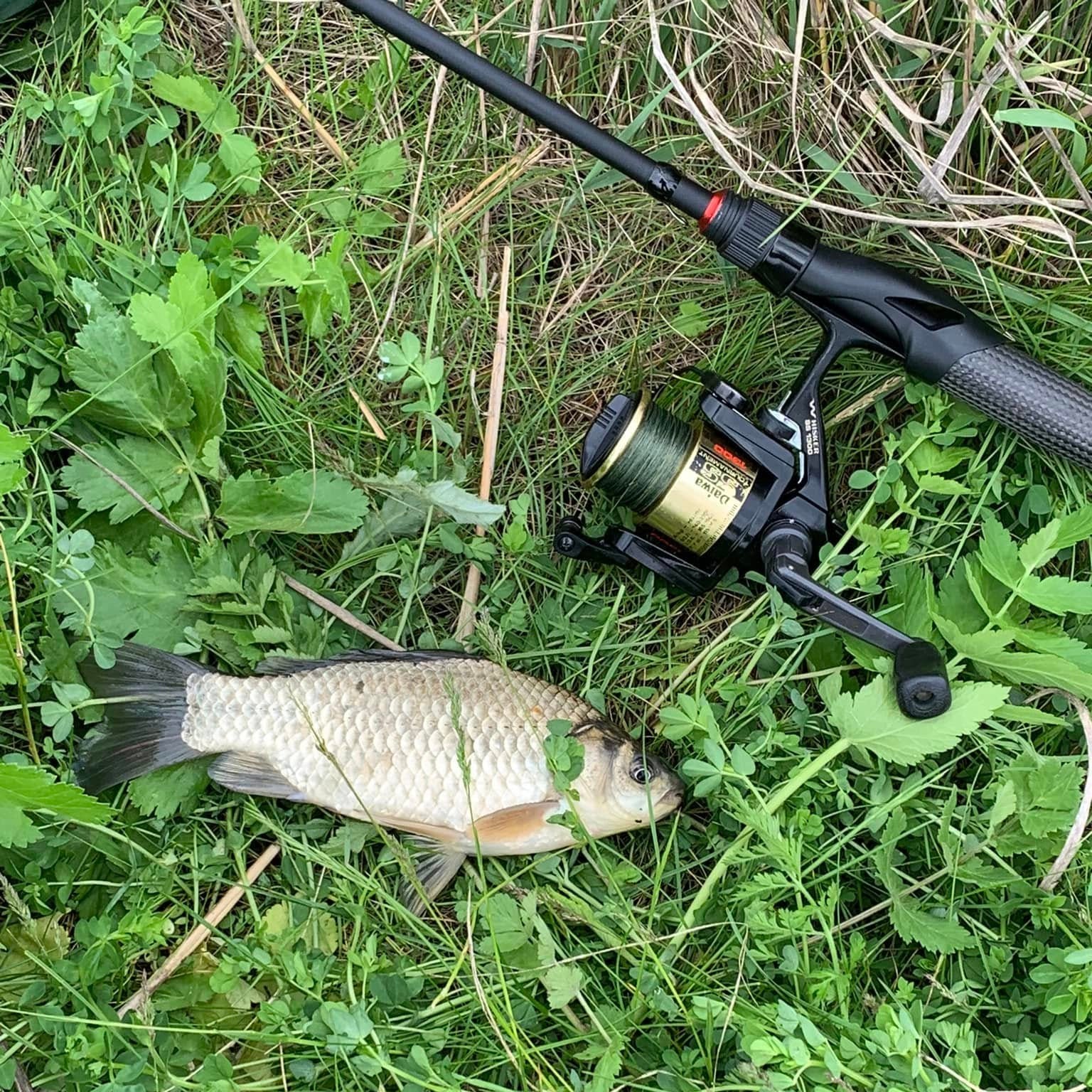 Command Force Compact Telescopic Spinning Rod
