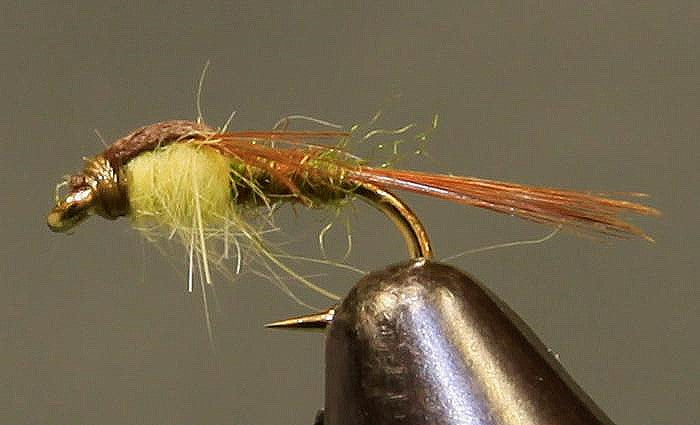 Split Foam Back™ - PMD