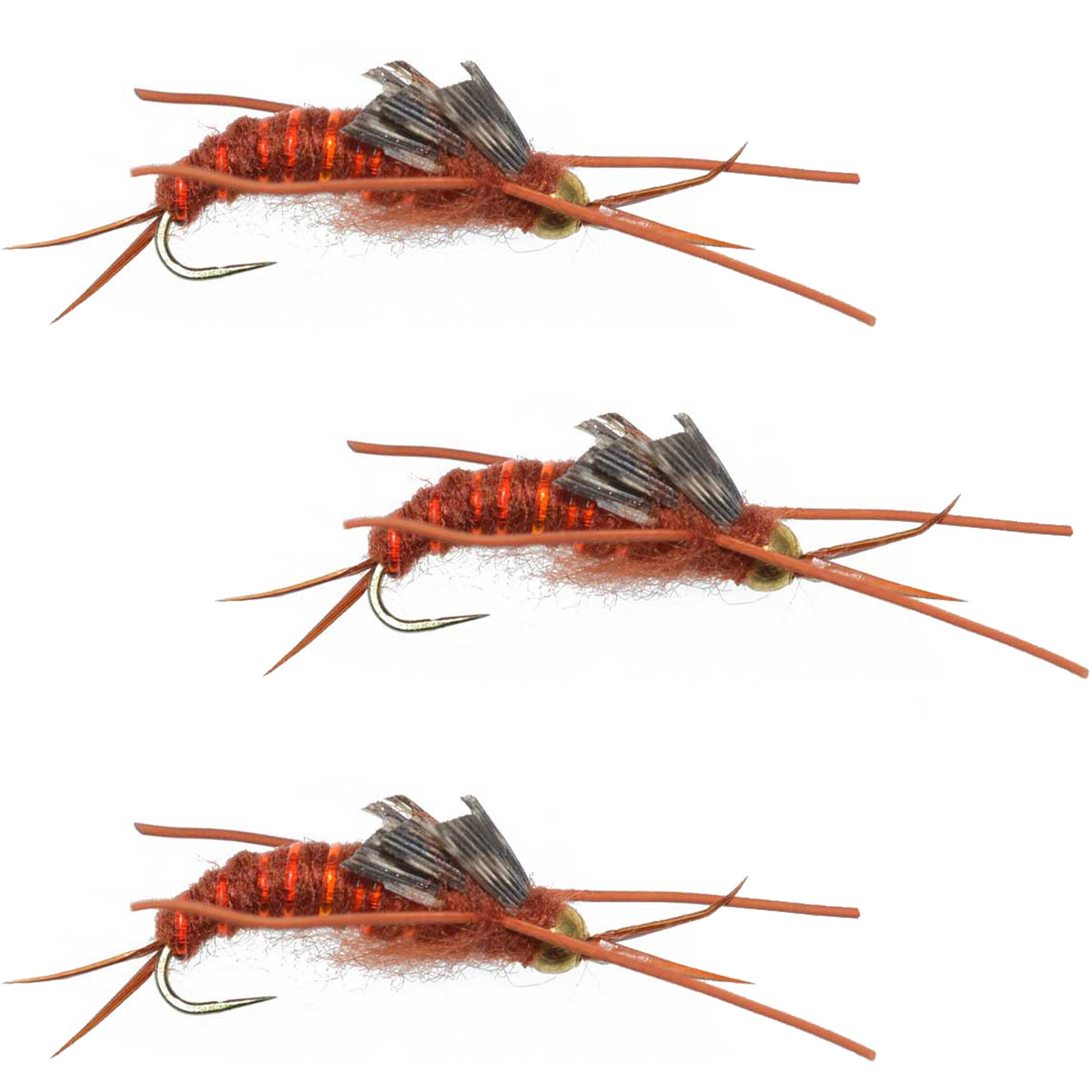 3 Pack Barbless Gold Bead Kaufmann's Brown Stone Fly with Rubber Legs - Stonefly Wet Fly - Hook Size 12
