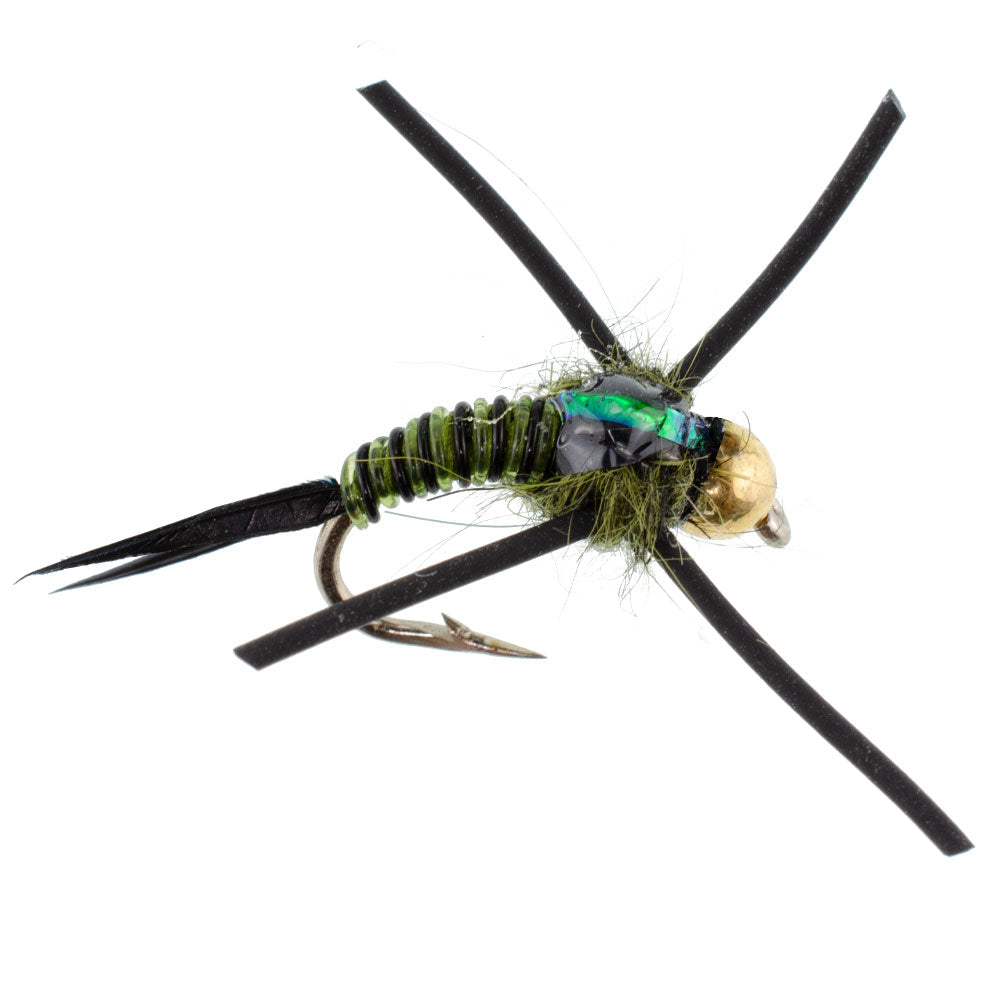 Cabeza de cuentas de tungsteno, patas de goma, color negro, oliva, cebra, cobre, moscas de pesca con mosca John Nymph, 1 docena de anzuelos para moscas, tamaño 16