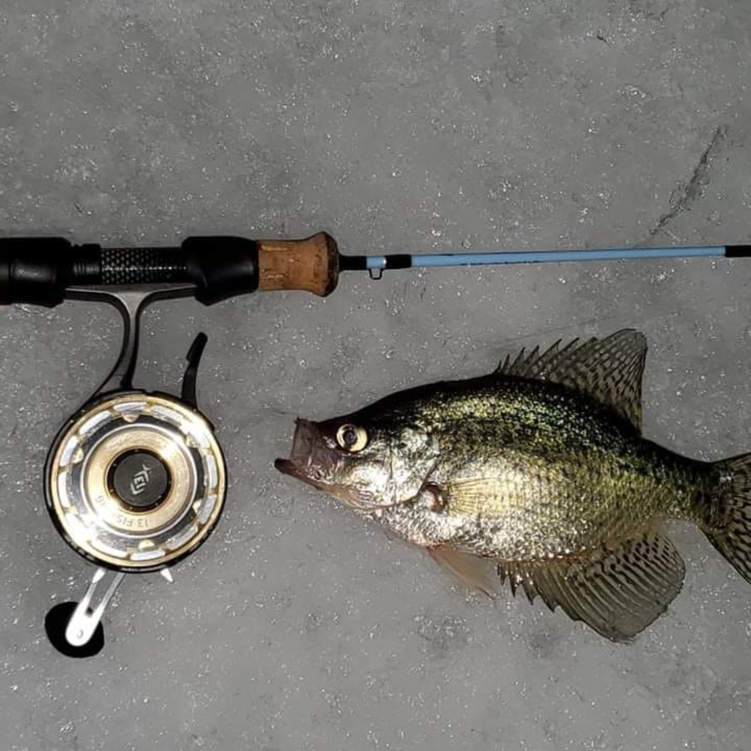 Winterhawk  Medium Action Ice Fishing Rod