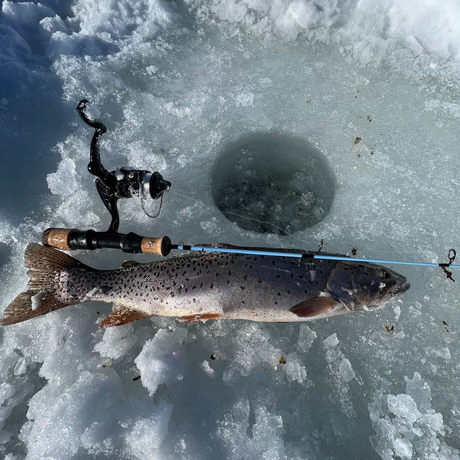 Winterhawk  Medium Action Ice Fishing Rod