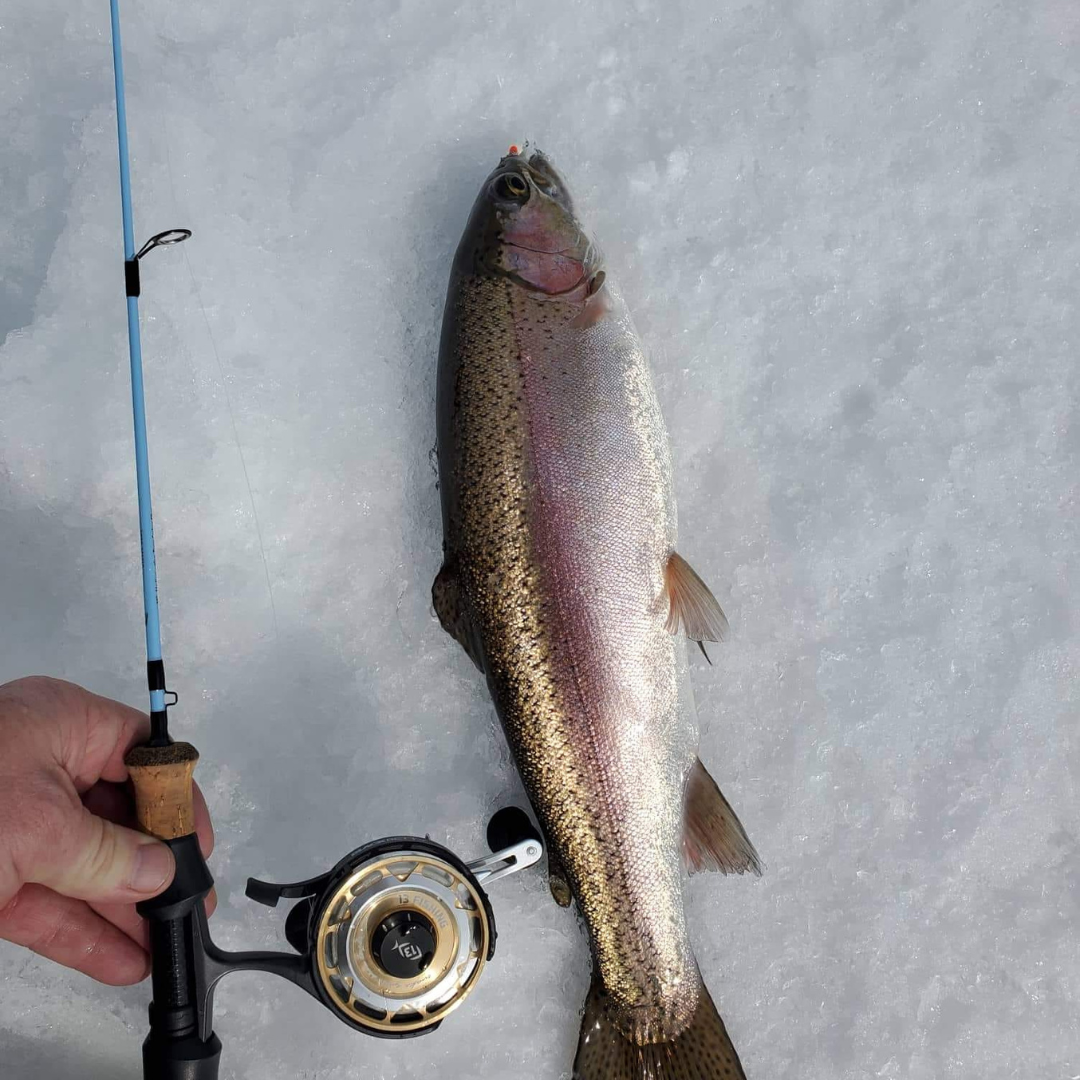 Winterhawk  Medium Action Ice Fishing Rod