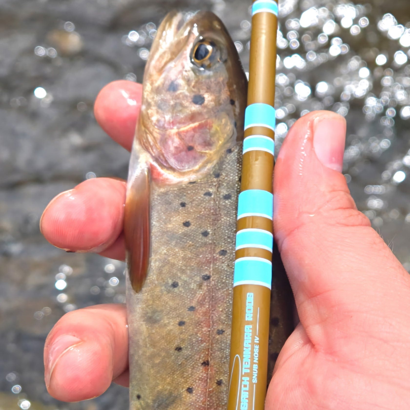 SNUB NOSE IV T 4-Zoom Ultra-Compact Tenkara Rod