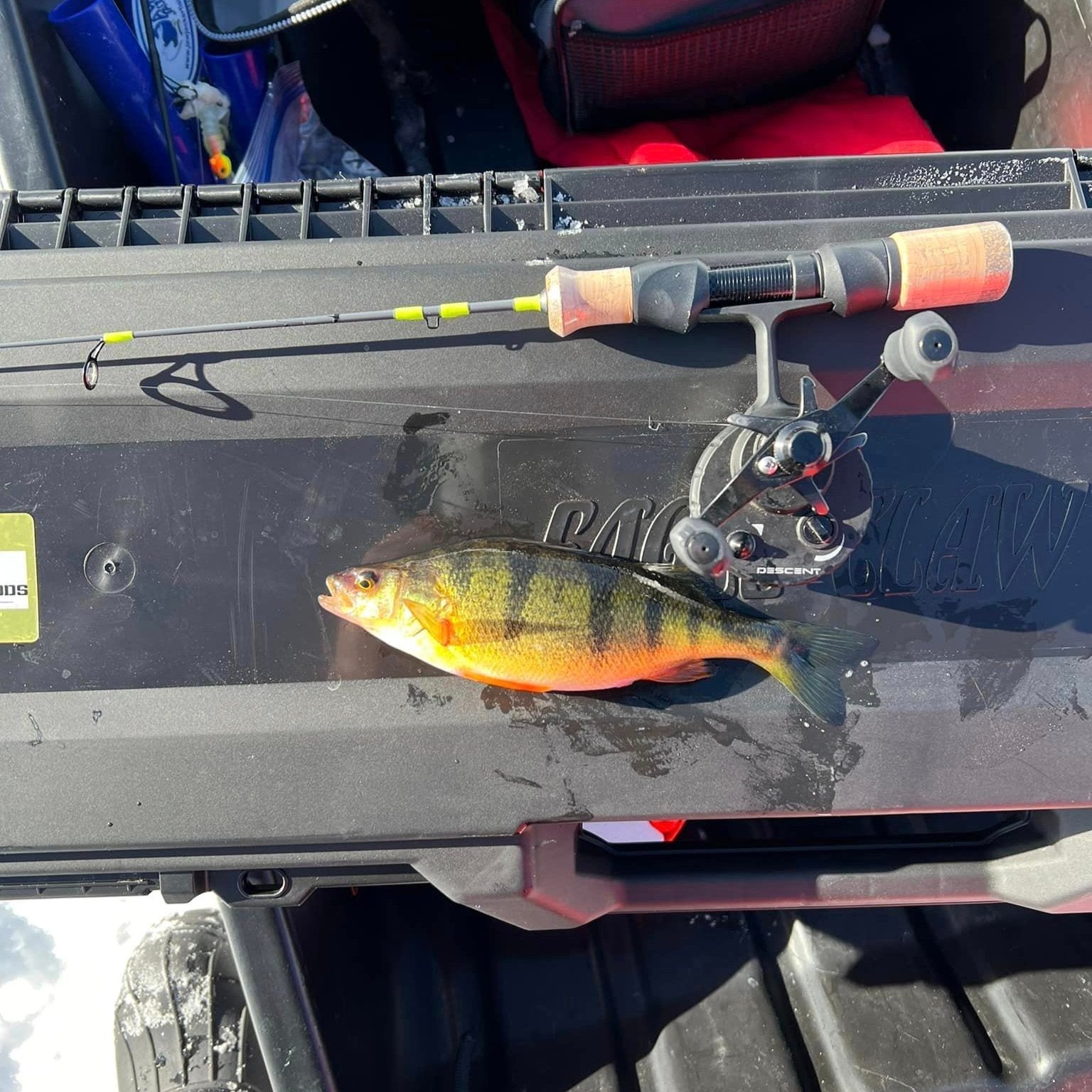 Ice Breaker Medium/Light Action Ice Fishing Rod