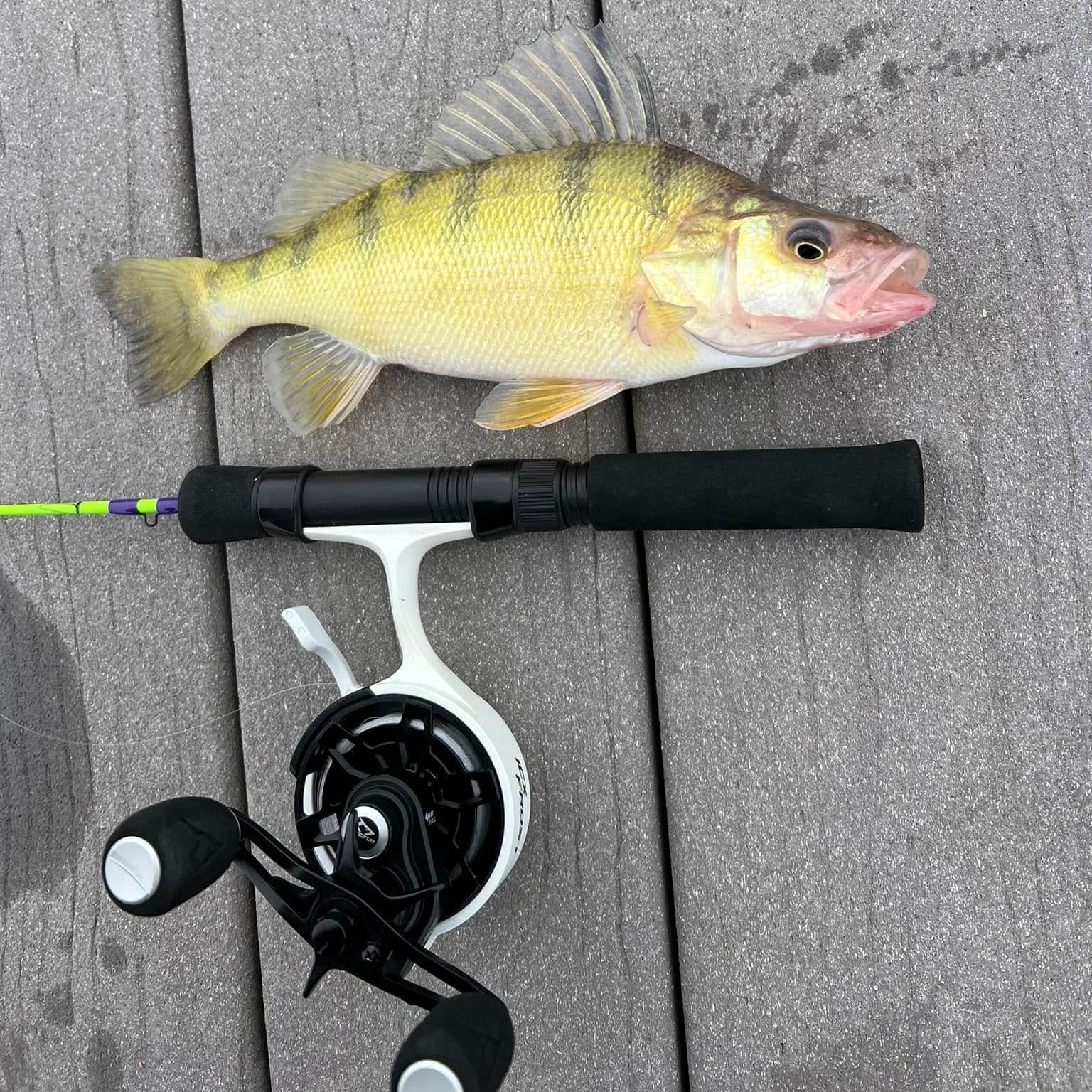 The Joker Medium-Fast Action Ice Fishing Rod "Co-Designed by Shifty Outdoors"