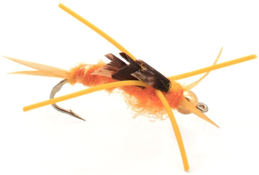 Cuentas de tungsteno Kaufmann's Golden Stone Fly Nymph patas de goma - 1 docena de gancho tamaño 12