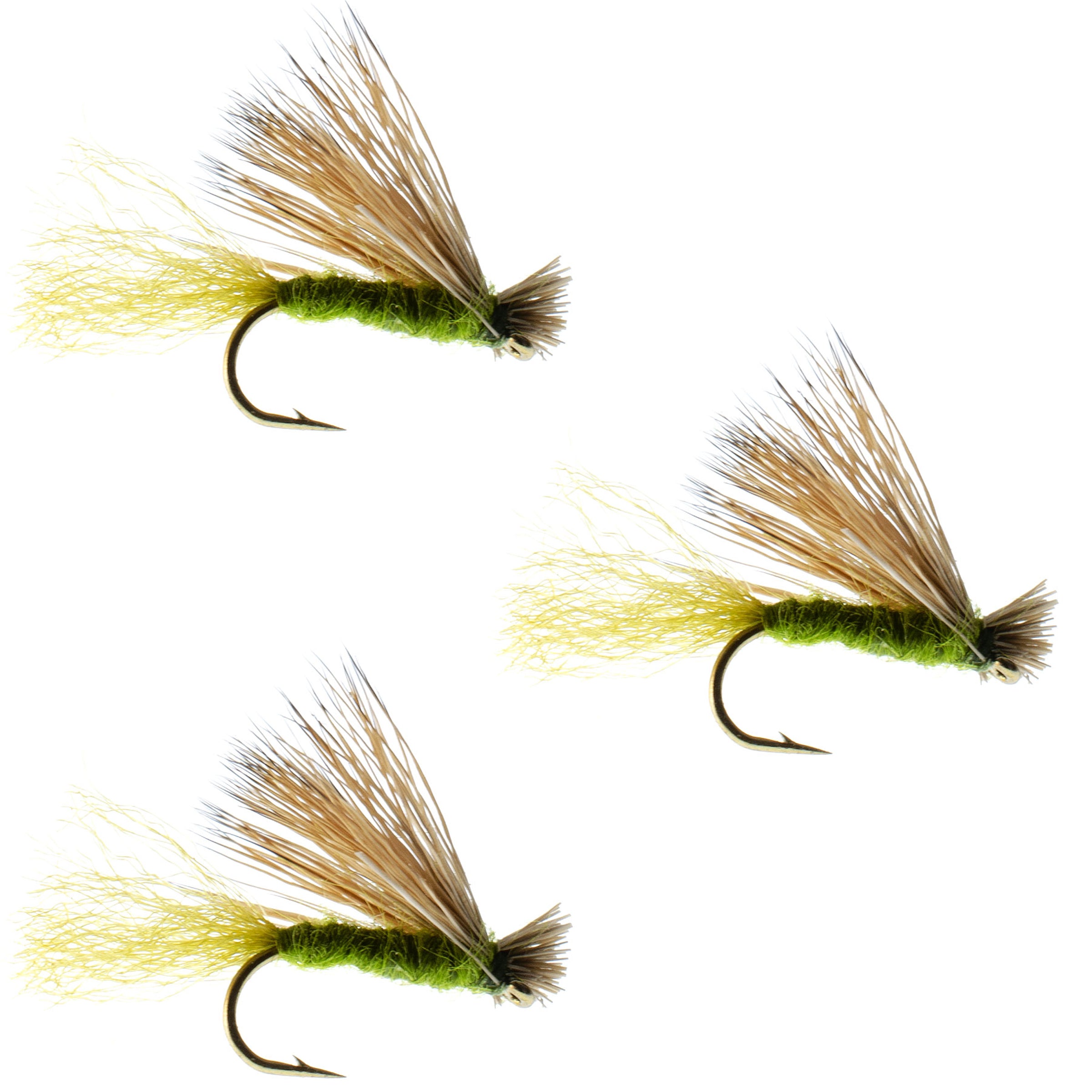 3 Pack Olive X Caddis Emerging Caddis Adult Trout Dry Fly - Hook Size 18