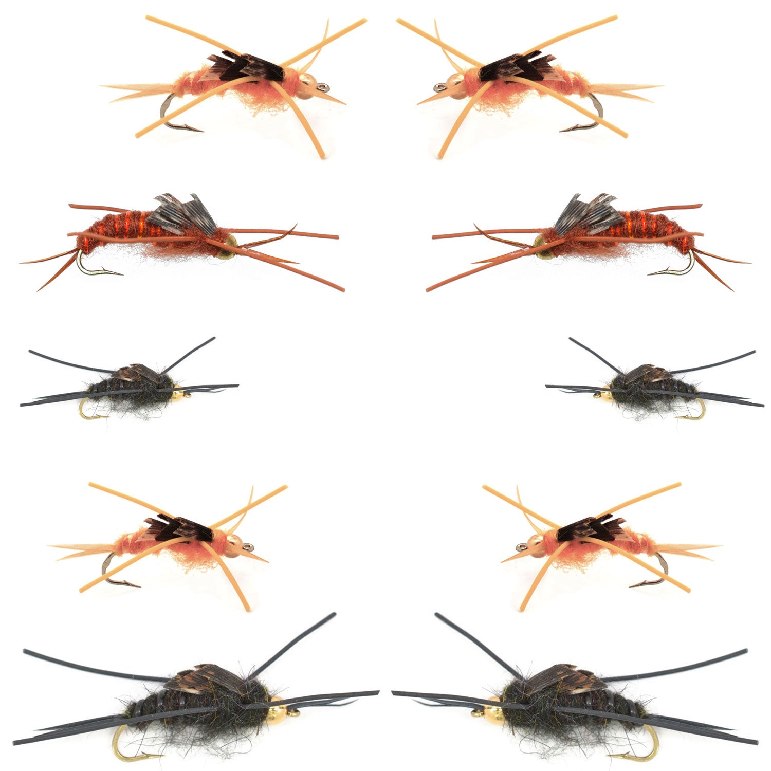 Colección Basics - Surtido de ninfas Stonefly de Kaufmann - 10 moscas húmedas con patas de goma y cabeza de cuentas - 5 patrones - Tamaños de anzuelo 4, 6, 8, 10 y 12 