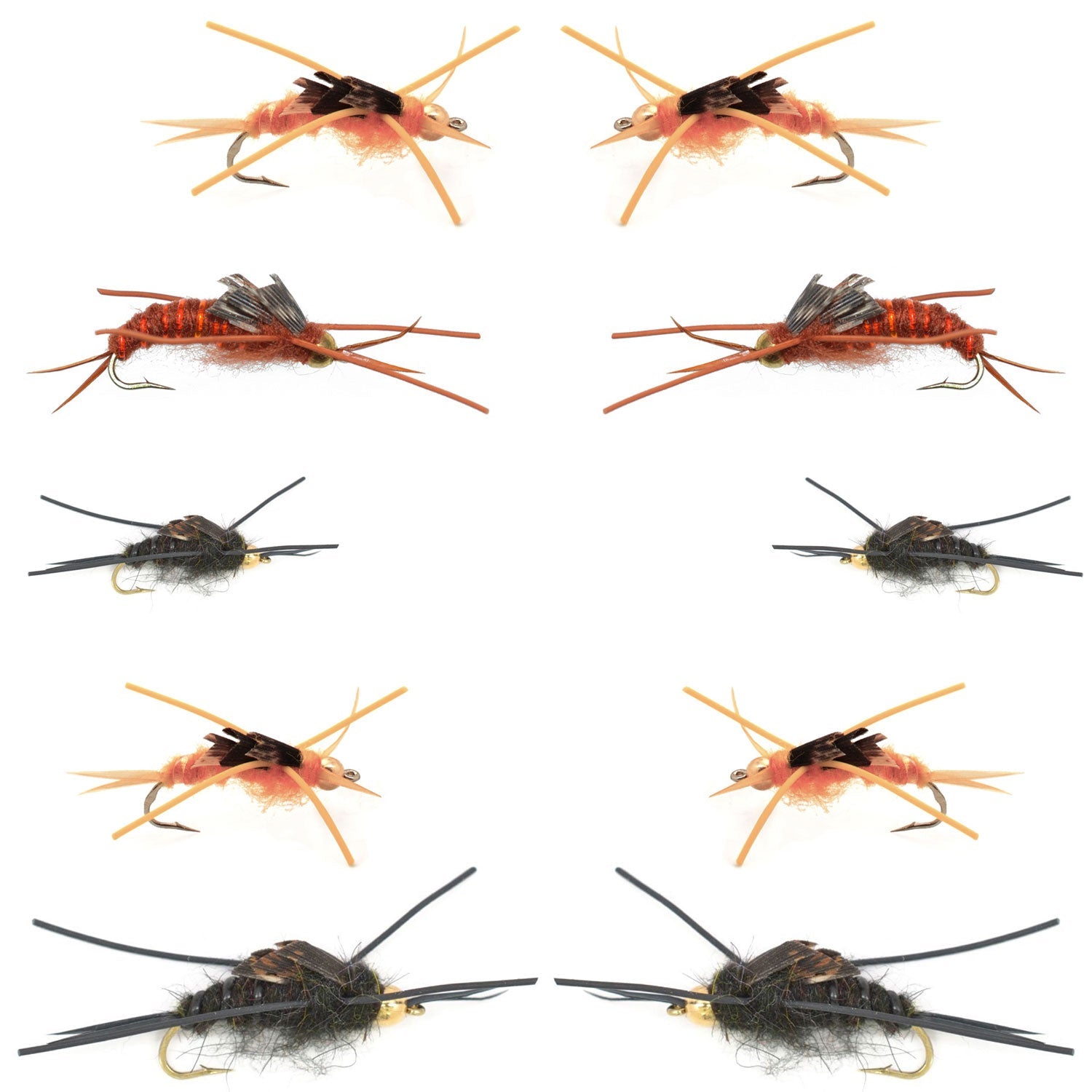 Colección Basics - Surtido de ninfas de mosca de piedra con cuentas de tungsteno de Kaufmann - 10 moscas húmedas con patas de goma y cabeza de cuentas - 5 patrones - Tamaños de gancho 4, 6, 8, 10 y 12 