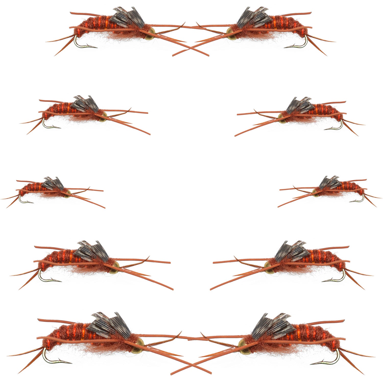 Colección Basics - Surtido de ninfa Stonefly marrón de Kaufmann, 10 patas de goma con cabeza de cuentas, moscas húmedas - Tamaños de anzuelo 6, 8, 10 y 12 