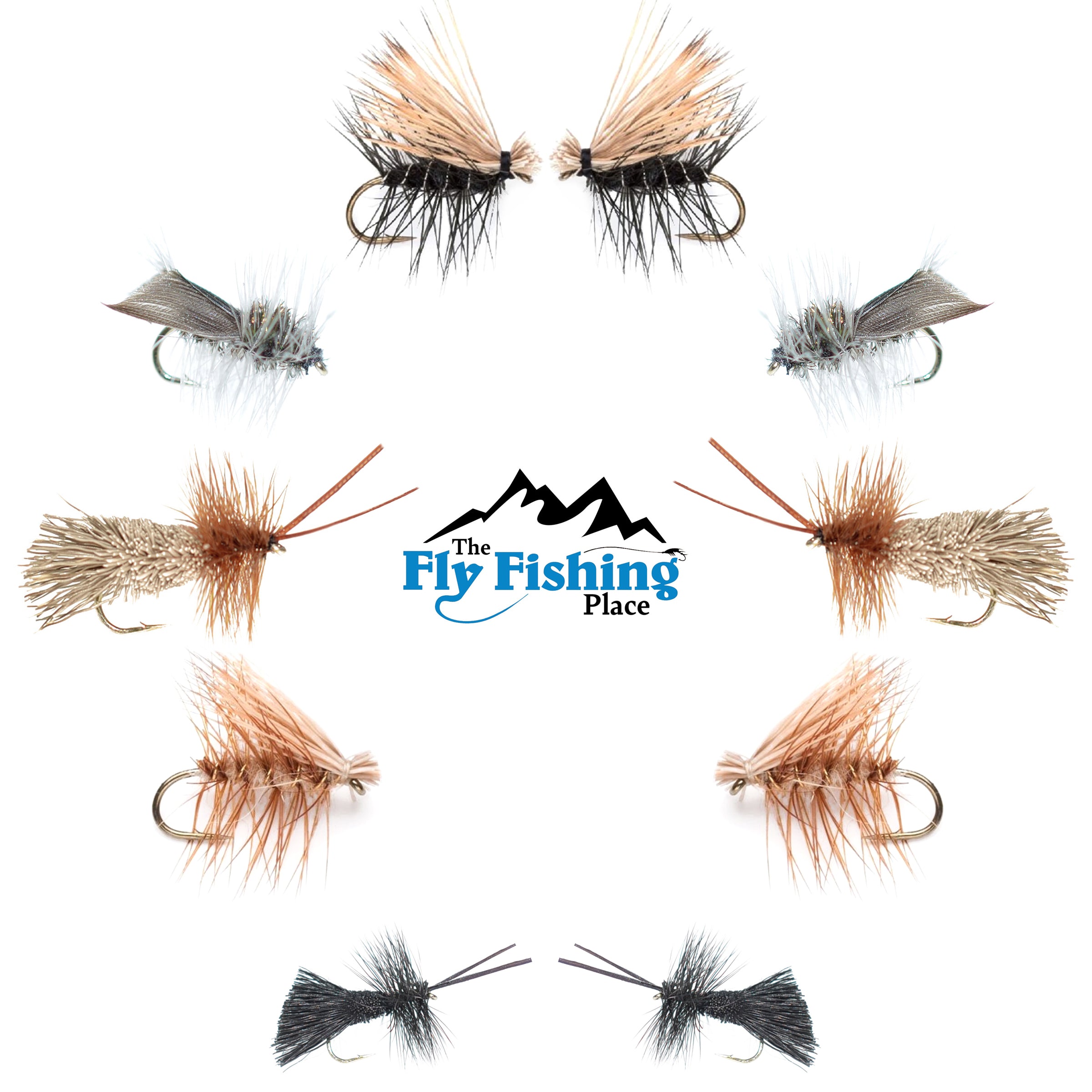 Colección Basics - Surtido de moscas secas Essential Caddis - 10 moscas de pesca secas - 5 patrones - Tamaños de anzuelo 12, 14, 16, 18 
