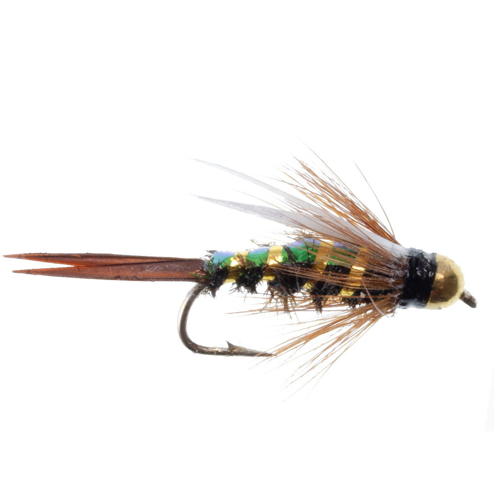 Colección Basics - Surtido de ninfa con cabeza de cuentas de Copper John y Flash Back - 10 moscas húmedas - 5 patrones - Tamaños de anzuelo 10, 12, 14, 16 