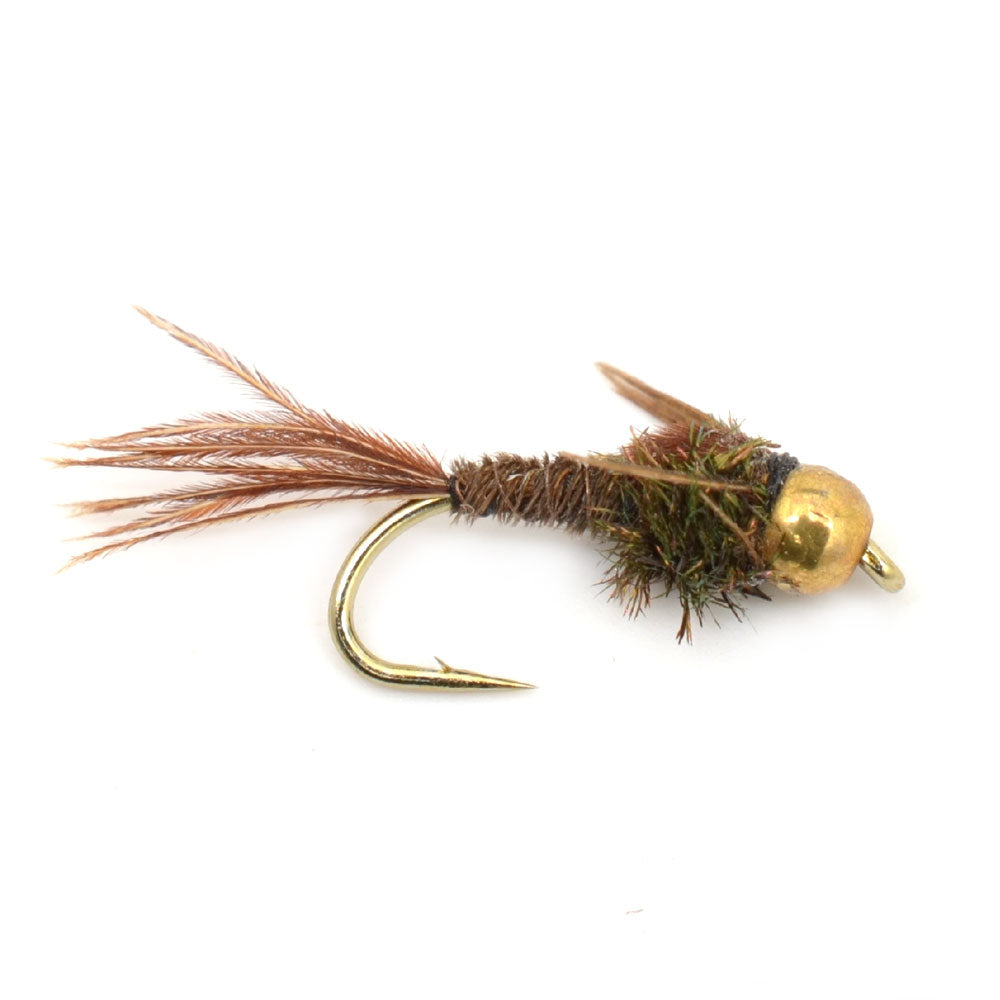  The Fly Fishing Place Tungsten Bead Head Nymph Fly Fishing  Flies - Rubber Legs Black Gold Ribbed Hare's Ear Trout Fly - Nymph Wet Fly  - 6 Flies Hook Size 12 : Sports & Outdoors