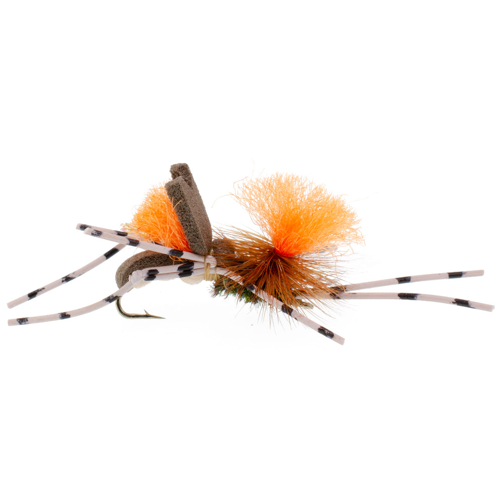  The Fly Fishing Place Plan B Skwala Foam Body Trout