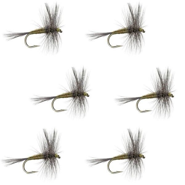 Dawsons Olive Trout Flies, 6 Pack, Orange Tailed, Size 10, For Fly Dawsons Olive Trout Flies, 6 Pack, Orange Tailed, Size 10, For Fly
