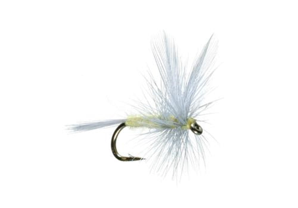 Pale Morning Dun PMD Classic Dry Fly - 6 Flies Hook Size 14