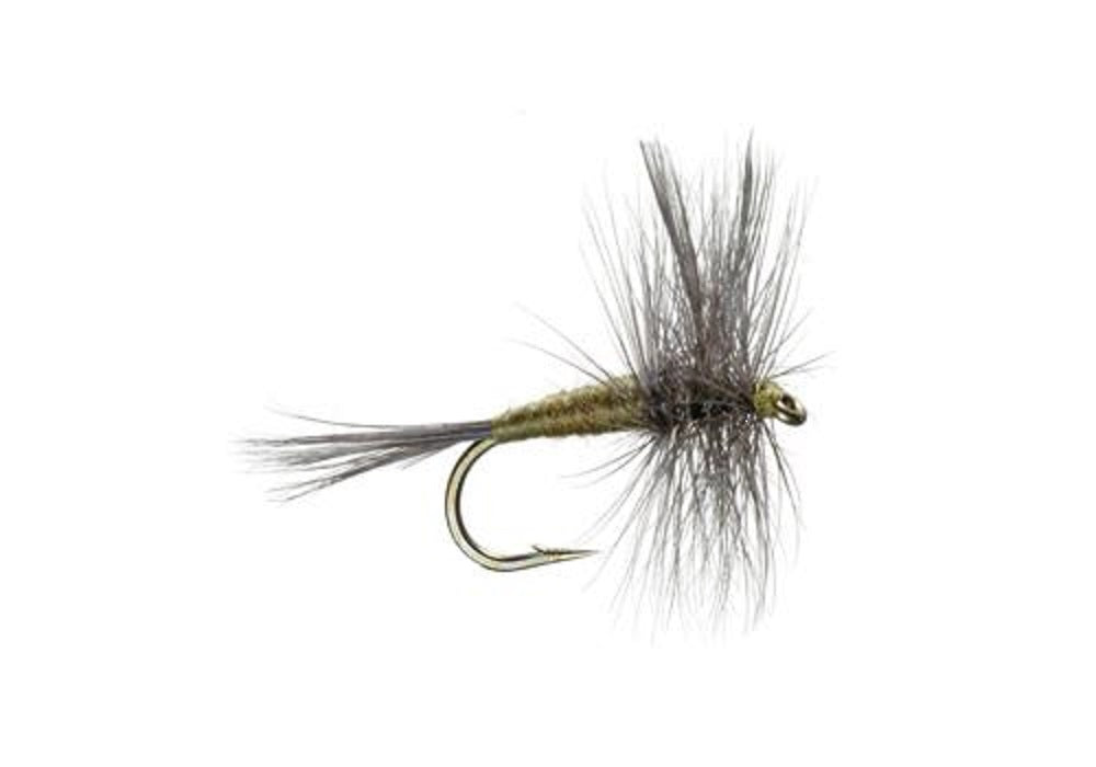 Blue Winged Olive BWO Classic Trout Dry Fly Fishing Flies - Set of 6 Flies Size 20