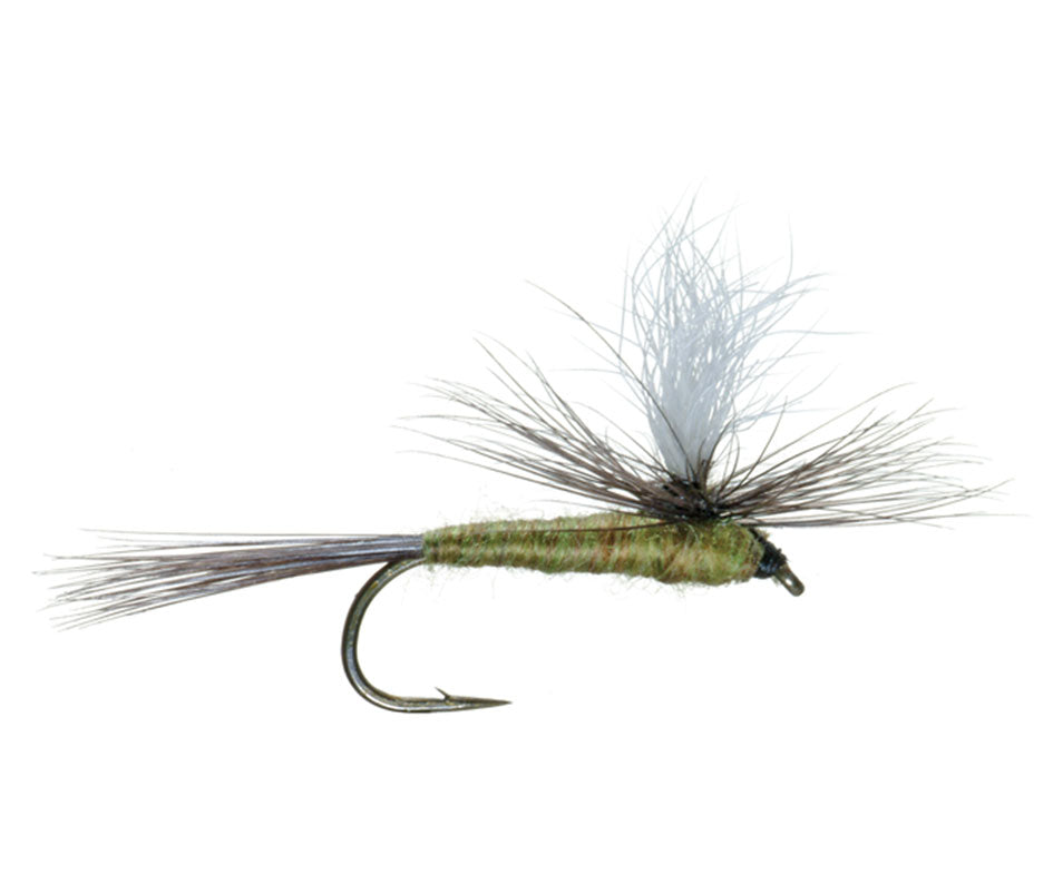 3 Pack Blue Wing Olive BWO Parachute Dry Fly - Hook Size 14